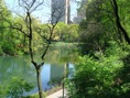 central park 6