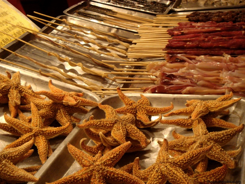 Estrellas de mar y otras "criaturas" de tierra y agua.