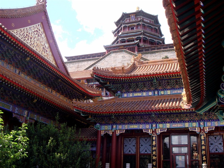 12. Vista
