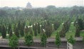 14.Parques del recinto.