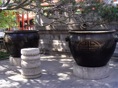 calentadores agua palacio