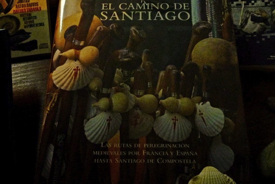 P1000567 lzn