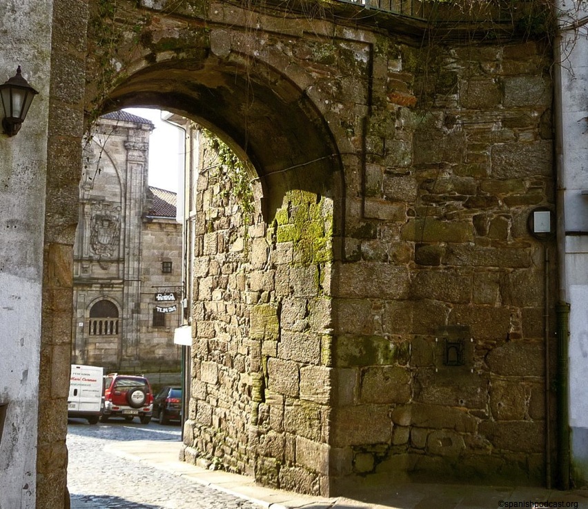 P1000578 lzn