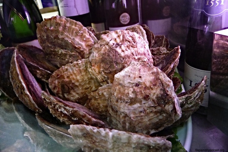 P1000186 lzn